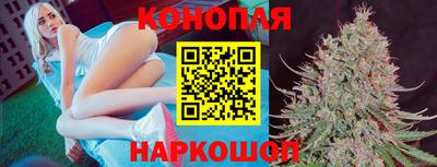 гидра Татарск