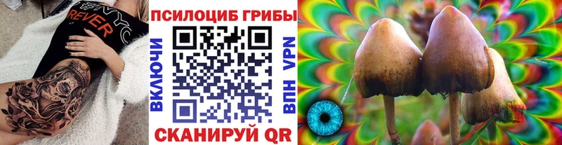 Галлюциногенные грибы Cubensis  Павловский Посад 