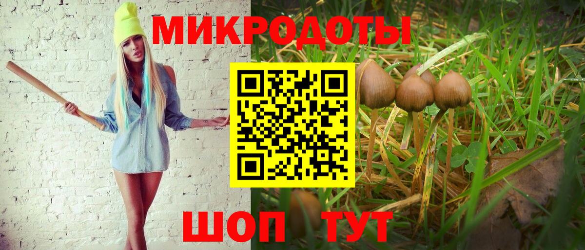 Псилоцибиновые грибы Magic Shrooms  Вход с VPN  Павловский Посад 