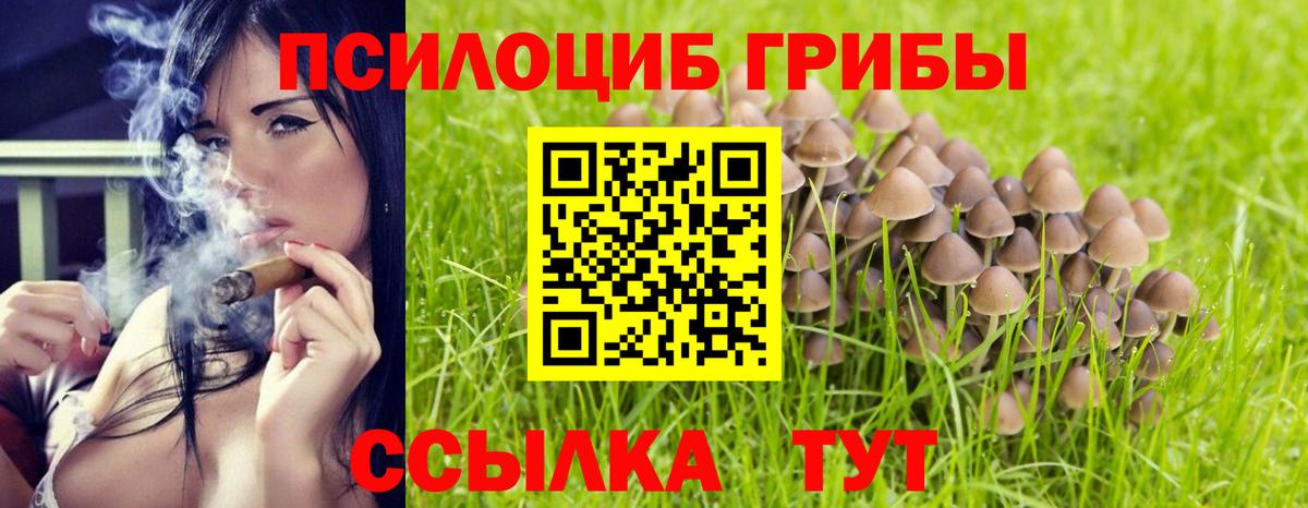 Псилоцибиновые грибы GOLDEN TEACHER Павловский Посад